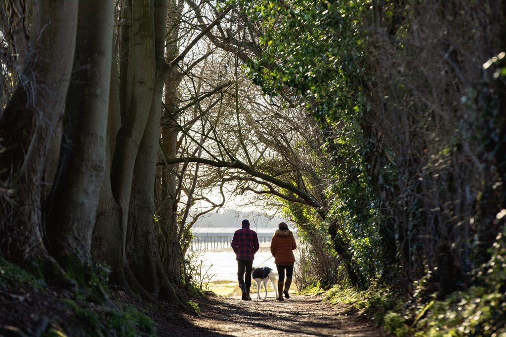 Local area image of a coastal walk in bedhampton